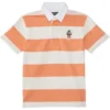 Polo Ralph Lauren Kids Polo Bear Short-Sleeve Rugby Shirt (Big Kid) | Shirts & Tops